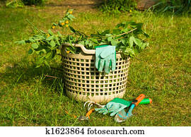 gardening gardening