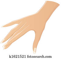 Illustrated female hand Illustrated female hand