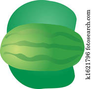 Watermelon fruit illustration Watermelon fruit illustration