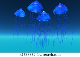 JELLYFISH JELLYFISH