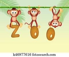 monkeys in the zoo