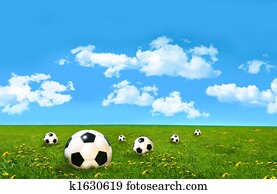 Soccer balls in a field of tall grass Soccer balls in a field of tall grass