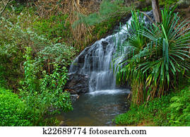 Waterall in Maui, Hawaii Waterall in Maui, Hawaii