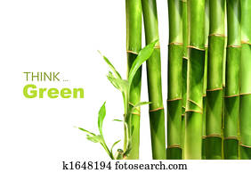 Bamboo shoots stacked side by side