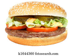 Hamburger Hamburger