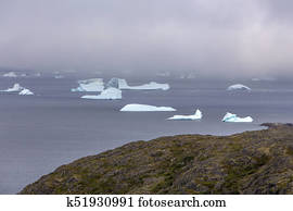 group of icebergs, Fogo Island
