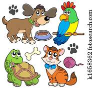 Pet collection Pet collection