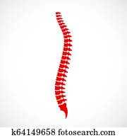 Spinal Cord Stock Images | Our Top 1000+ Spinal Cord Photos Page 2