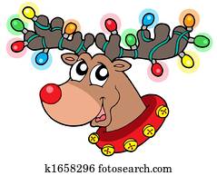 חמוד, אייל, ב, אורות של חג ההמולד