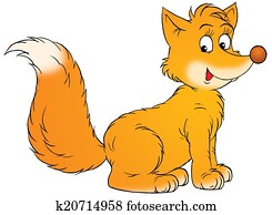 fox fox