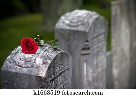 Love and Loss Love and Loss