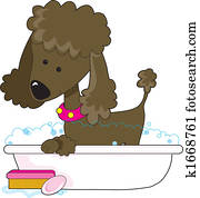 Poodle Bath Brown