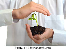 protegendo, vida nova