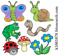 Small animals collection 2 Small animals collection 2