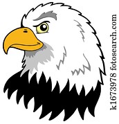 American eagles head American eagles head