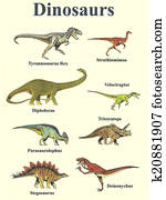 Dinosaurs Dinosaurs