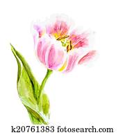 Pink tulips, watercolor painting. Pink tulips, watercolor painting.