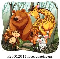 tiere tiere