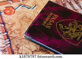 Travel Passport