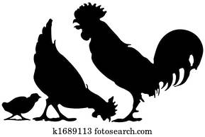 chicken family chicken family