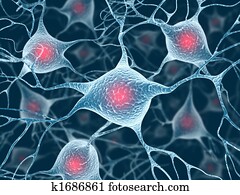 ニューロン イラスト 1000 ニューロン 画像 Fotosearch