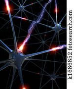 Neurons Neurons