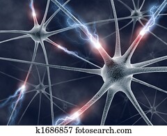 neurons