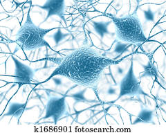 neurons