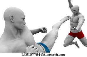 vecht, of, strijder, geest