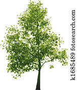 Vector green tree Vector green tree