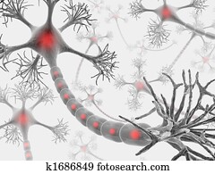 אקסון, מערכת