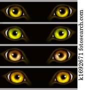 Eyes of animals Eyes of animals