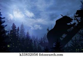 Wilderness Bears and Deer Wilderness Bears and Deer