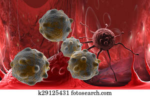 cancer cell cancer cell