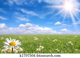 Happy  Bright Spring Day Outside