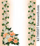 Ivy border invitation hibiscus peony Ivy border invitation hibiscus peony