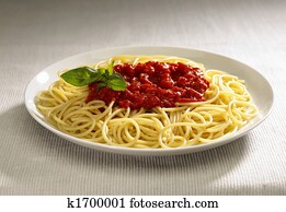 Spaghetti Spaghetti
