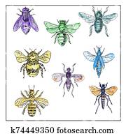 Vintage Bees and Flies Collection on White background Vintage Bees and Flies Collection on White background