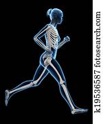Female runner Female runner