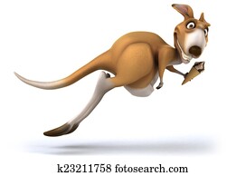 Fun kangaroo Fun kangaroo