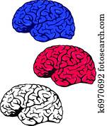 Human brain Human brain