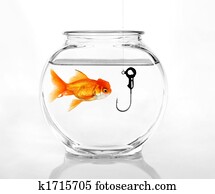 Phishing for Information