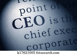 chief executive officer