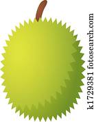 Durian fruit icon