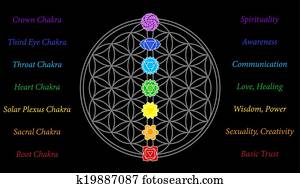 Flower of Life Chakras Description Flower of Life Chakras Description