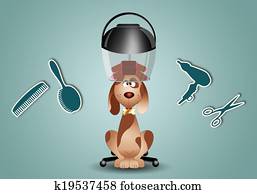 little dog to the hairdresser for grooming little dog to the hairdresser for grooming
