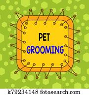 Writing note showing Pet Grooming. Business photo showcasing hygienic care and enhancing the appearance of the pets Asymmetrical uneven shaped pattern object multicolour design. Writing note showing Pet Grooming. Business photo showcasing hygienic care and enhancing the appearance of the pets Asymmetrical uneven shaped pattern object multicolour design.