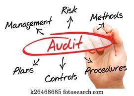 Audit