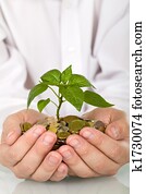 Good investment and money making concept