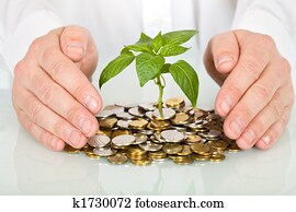 protegendo, um, bom, investimento, e, fazendo dinheiro, conceito